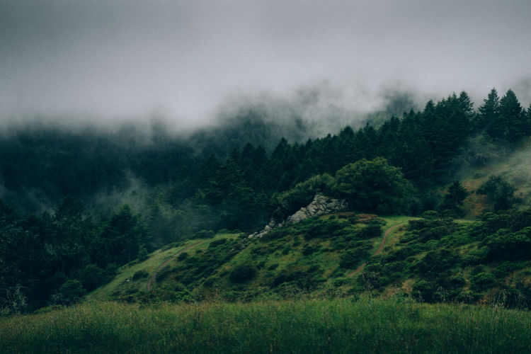 在线免费轰炸电话网页版